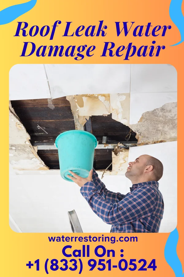 Roof Leak Water Damage Repair in Clayton, IN