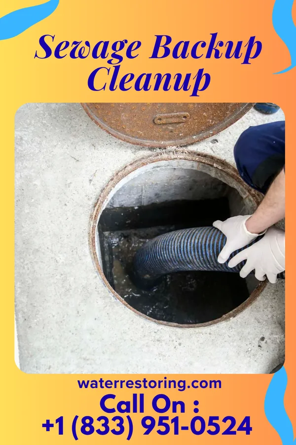 Sewage Backup Cleanup in Clayton, IN